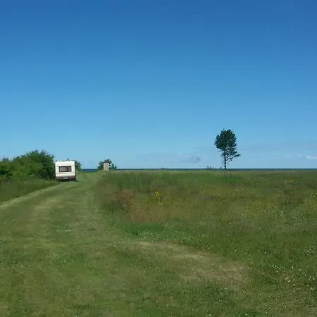 Vilni Ulmale